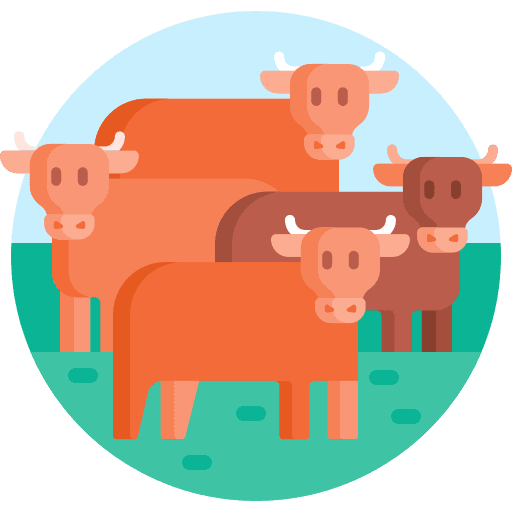 AnimalCare360